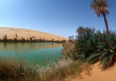 Ost-Sahara, Libyen: Groe Expedition - Eine Palmenbestandene Oase